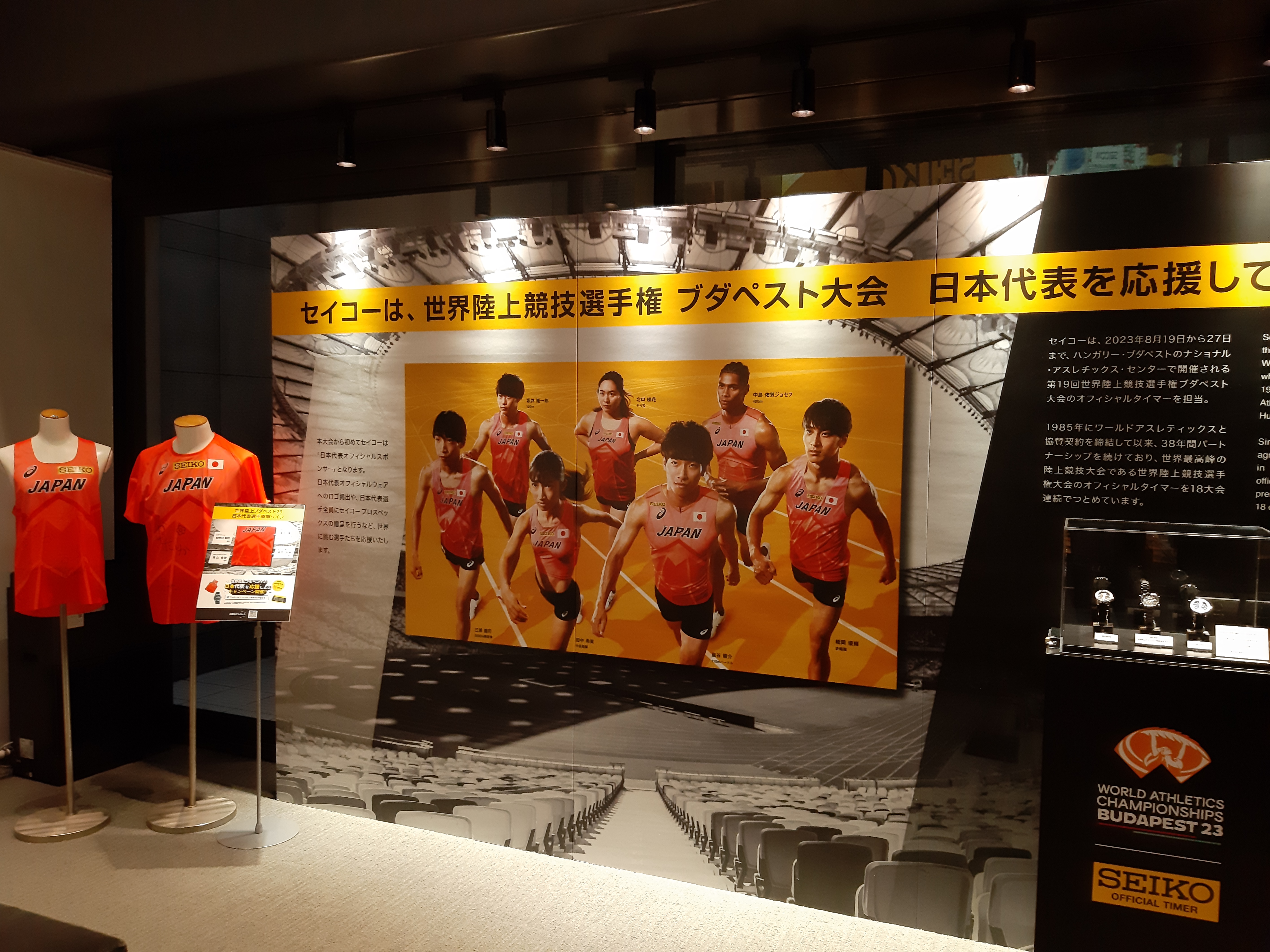 Special Exhibition of World Athletics Championships Budapest