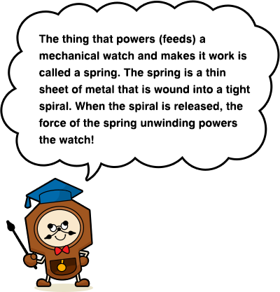 The thing that powers (feeds) a mechanical watch and makes it work is called a spring. The spring is a thin sheet of metal that is wound into a tight spiral. When the spiral is released, the force of the spring unwinding powers the watch!
