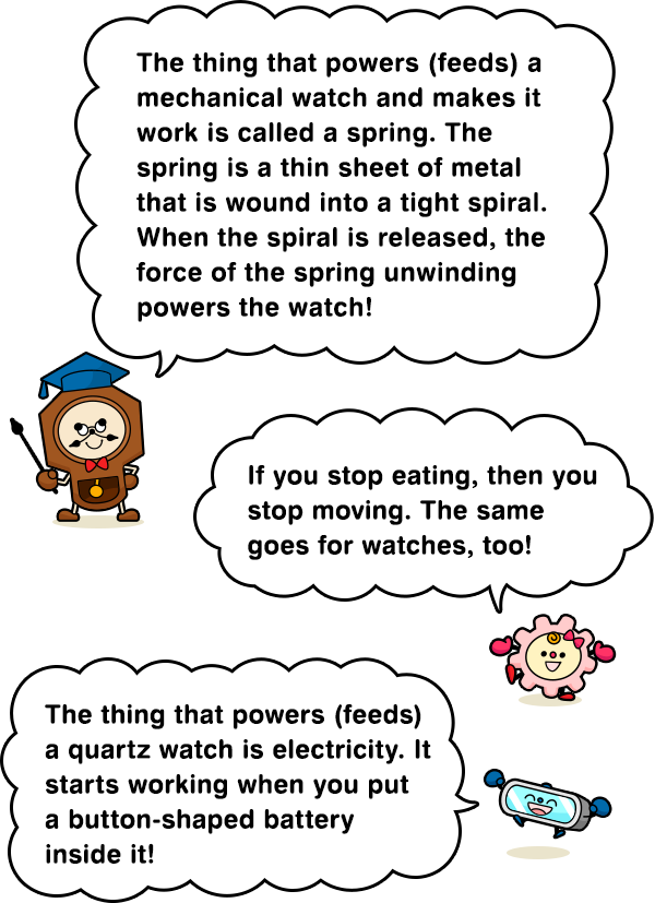 The thing that powers (feeds) a mechanical watch and makes it work is called a spring. The spring is a thin sheet of metal that is wound into a tight spiral. When the spiral is released, the force of the spring unwinding powers the watch! If you stop eating, then you stop moving. The same goes for watches, too! The thing that powers (feeds) a quartz watch is electricity. It starts working when you put a button-shaped battery inside it!