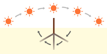 Shadow cast by the gnomon standing on the ground (schematic view)